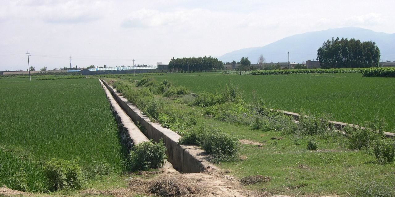 农村的灌溉渠